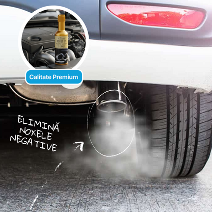 Curățător Profesional Motor, Injectoare, Catalizator & DPF